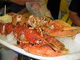 IMG_0294.JPG