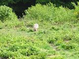 IMG_1988.JPG
