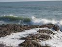 IMG_2342.JPG