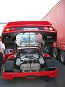 IMG_2873.JPG